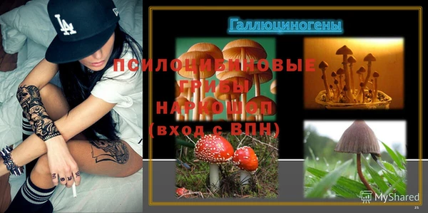 Альфа ПВП Заводоуковск