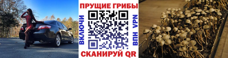 Псилоцибиновые грибы GOLDEN TEACHER Игарка